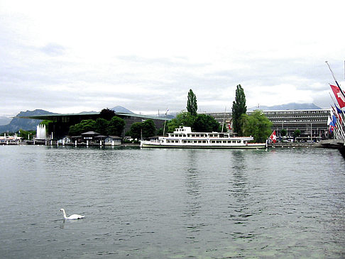 Der Vierwaldstätter See Fotos