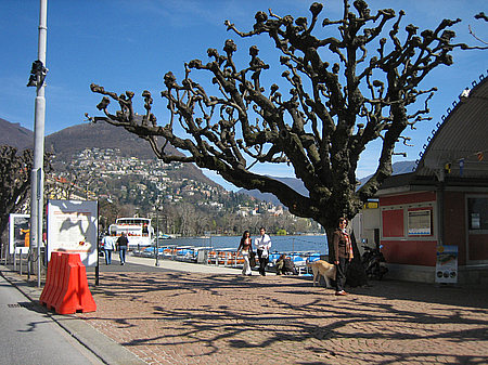 Lugano