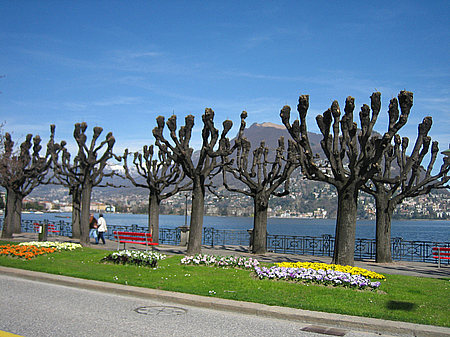 Foto Lugano