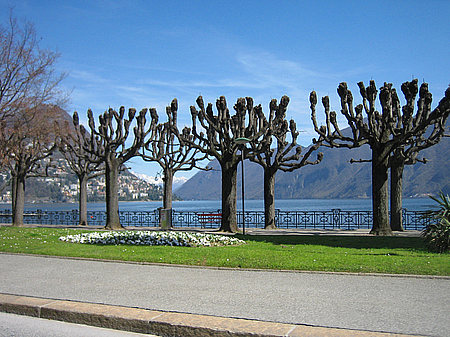 Foto Lugano - Vevey