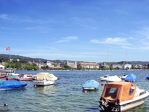 Boote auf dem Zürichsee Fotos