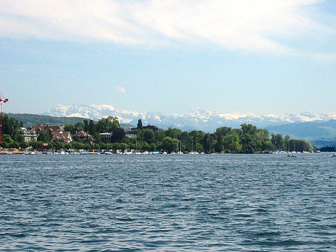 Fotos Boote auf dem Zürichsee | Zürich