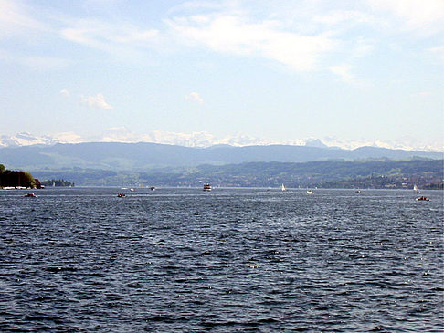 Boote auf dem Zürichsee Foto 