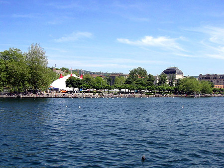 Fotos Boote auf dem Zürichsee | Zürich