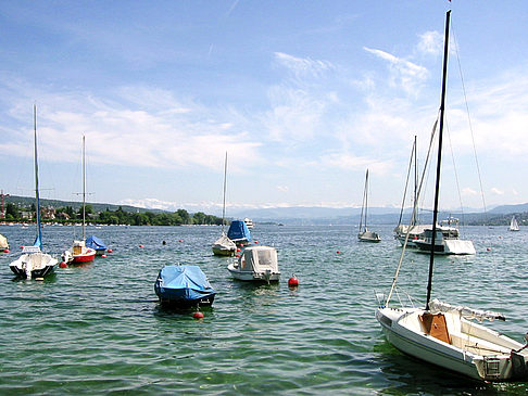 Fotos Boote auf dem Zürichsee