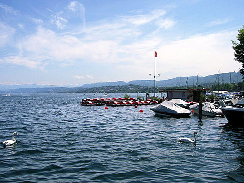 Foto Boote auf dem Zürichsee